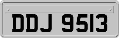 DDJ9513