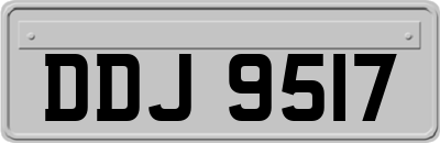 DDJ9517