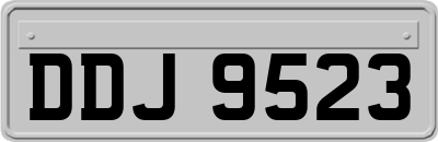 DDJ9523
