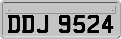 DDJ9524