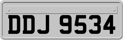 DDJ9534