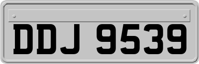 DDJ9539