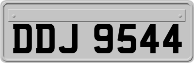 DDJ9544