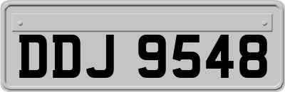 DDJ9548