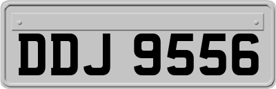 DDJ9556