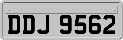 DDJ9562