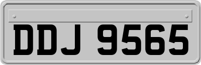 DDJ9565