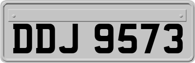 DDJ9573