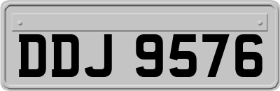 DDJ9576