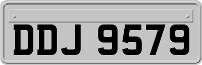 DDJ9579