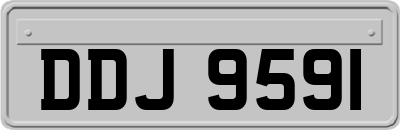 DDJ9591