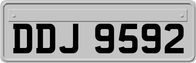 DDJ9592