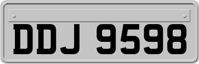 DDJ9598