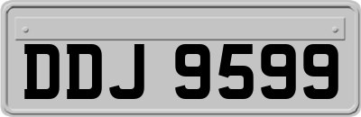 DDJ9599