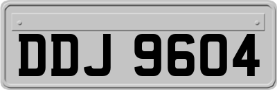 DDJ9604