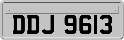 DDJ9613