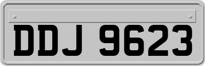 DDJ9623
