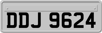 DDJ9624