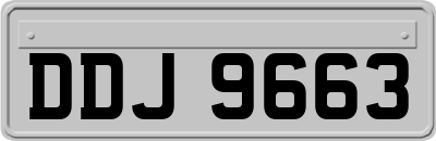 DDJ9663