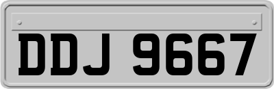 DDJ9667