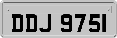 DDJ9751