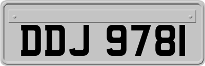 DDJ9781
