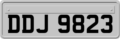 DDJ9823