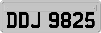 DDJ9825