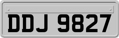 DDJ9827