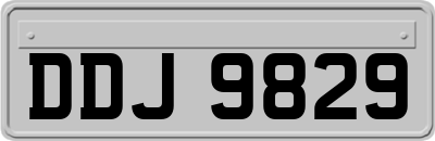 DDJ9829