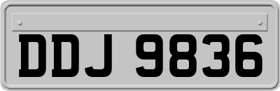 DDJ9836