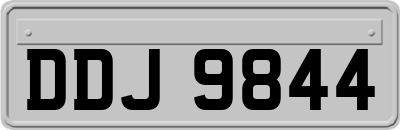 DDJ9844
