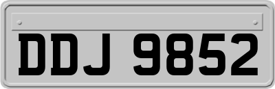DDJ9852
