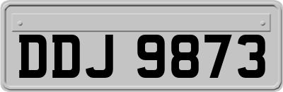 DDJ9873