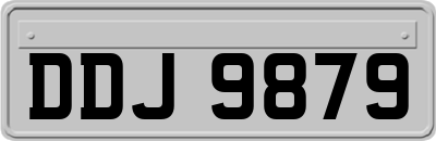 DDJ9879