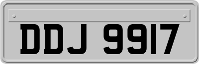 DDJ9917
