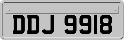 DDJ9918
