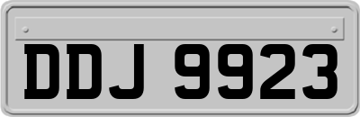 DDJ9923