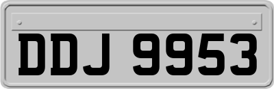 DDJ9953