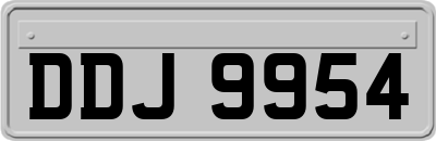 DDJ9954
