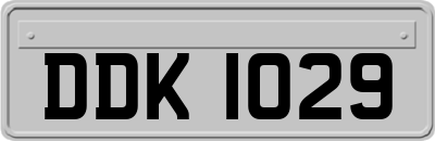 DDK1029