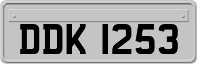 DDK1253