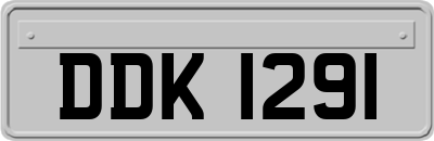DDK1291