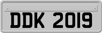 DDK2019