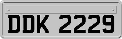 DDK2229
