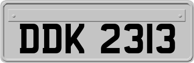 DDK2313