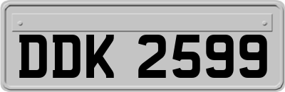 DDK2599