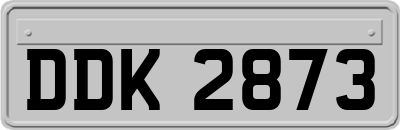 DDK2873