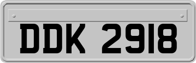 DDK2918