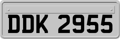 DDK2955